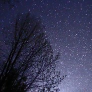 Week 34: Ton Naaijkens Week 34: Ton Naaijkens