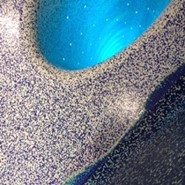 Week 39: Ton Naaijkens Week 39: Ton Naaijkens