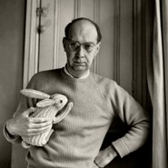 Week 18: Cees Koster Week 18: Cees Koster