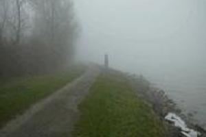 Week 31: Jan Gielkens