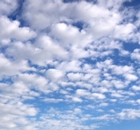 Week 33: Ton Naaijkens