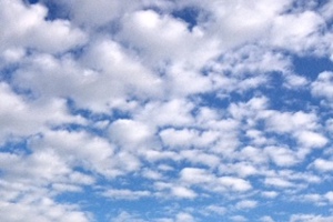 Week 33: Ton Naaijkens