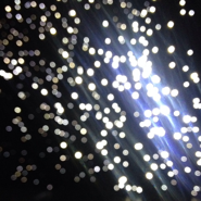 Week 35: Thomas Langerak