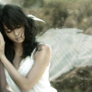 Week 36: Ton Naaijkens