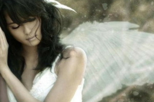 Week 36: Ton Naaijkens