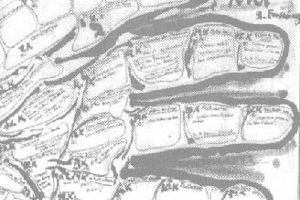 Week 46: Jan Gielkens