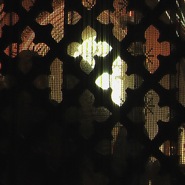 Week 49: Isabelle Bambust