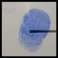 Week 51: Ton Naaijkens