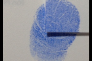 Week 51: Ton Naaijkens