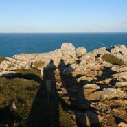 Week 4: Isabelle Bambust