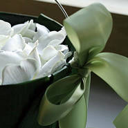 Week 6: Andrea Kluitmann