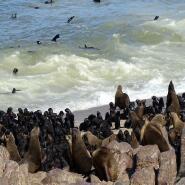 Week 19: Harm-Jan van Dam