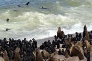 Week 19: Harm-Jan van Dam