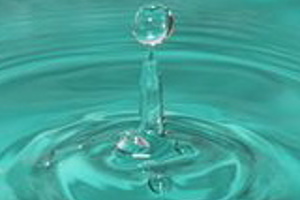 Week 25: Emilia Menkveld