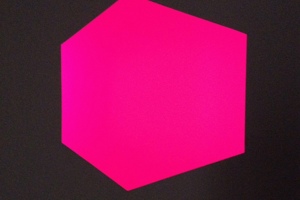 Week 38: Ton Naaijkens