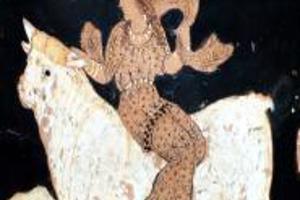 Week 39: Harm-Jan van Dam