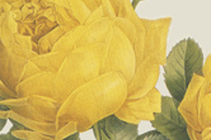 Week 52: Proust-quiz