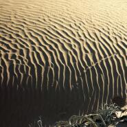 Week 2: Vicky Francken