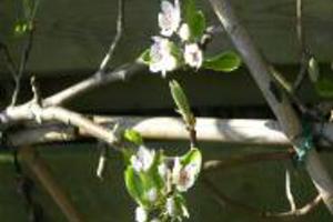 Week 3: Ton Naaijkens