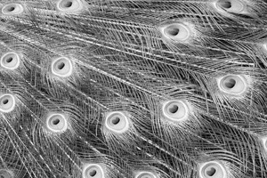 Week 17: Maaike Harkink