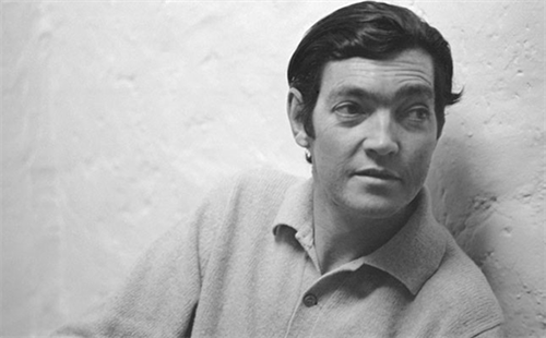 Julio Cortazar1