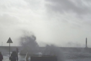 Week 7: Anna-Lou Dijkstra