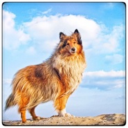 Week 24: Ton Naaijkens