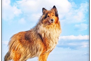 Week 24: Ton Naaijkens