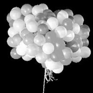 Week 28: Christiane Kuby