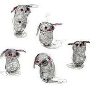 Week 32: Eline Jongsma