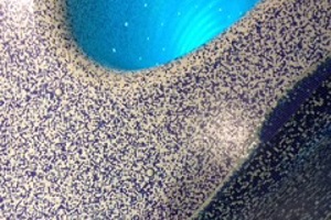 Week 39: Ton Naaijkens