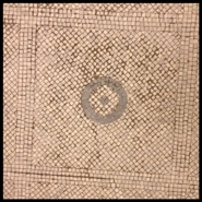 Week 41: Cees Koster