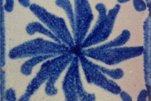 Week 7: Kaat Vanneste