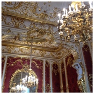 Week 14: Ton Naaijkens