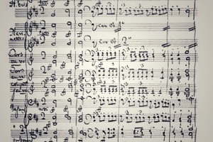 Week 16: Annemart Pilon