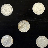 Week 35: Ton Naaijkens