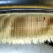 Week 49: Ton Naaijkens