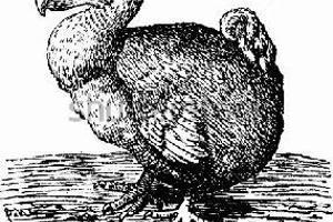 Week 10: Harm-Jan van Dam