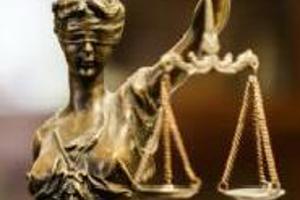 Week 12: Vanderlinden & Bambust