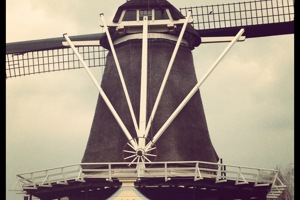 Week 17: Heleen Oomen