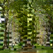 Week 33: Lenore Lampens