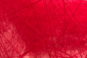 Week 34: Floris Cohen