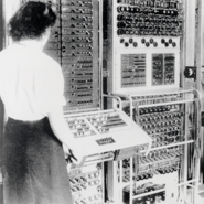 Week 42: Eline Jongsma