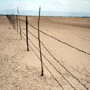 Week 46: Koen Boelens