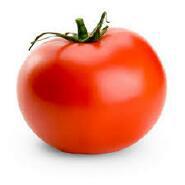 Week 6: Veerle De Bruyn