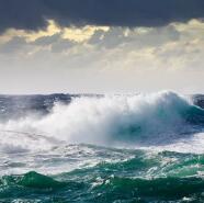 Week 7: Ton Naaijkens