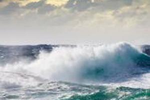 Week 7: Ton Naaijkens