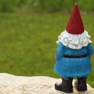 Week 15: Vera Magnússon