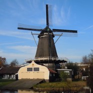 Week 17: Heleen Oomen