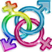 Week 20: Selm Wenselaers